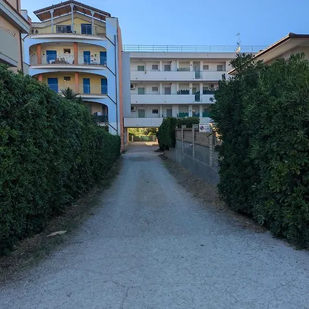 300 Passi